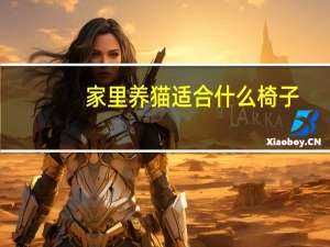 家里养猫适合什么椅子