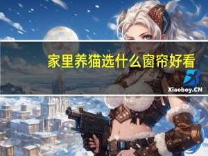 家里养猫选什么窗帘好看