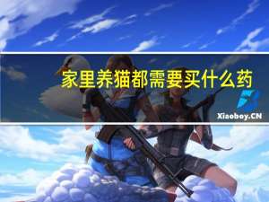 家里养猫都需要买什么药