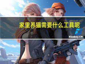 家里养猫需要什么工具呢
