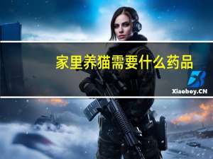 家里养猫需要什么药品