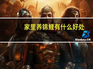 家里养锦鲤有什么好处