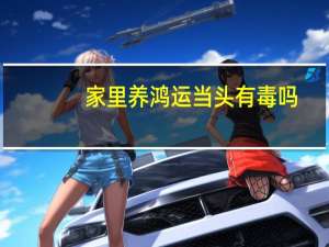 家里养鸿运当头有毒吗