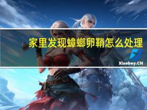 家里发现蟑螂卵鞘怎么处理