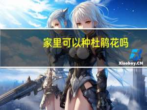 家里可以种杜鹃花吗