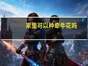 家里可以种牵牛花吗