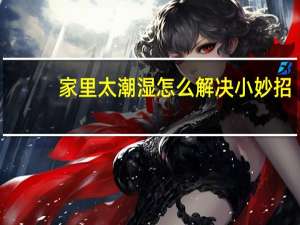 家里太潮湿怎么解决小妙招