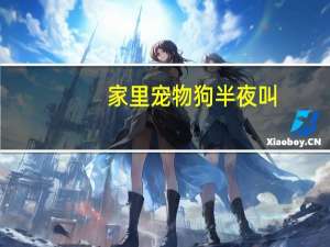 家里宠物狗半夜叫