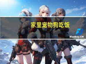 家里宠物狗吃饭