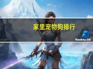 家里宠物狗排行