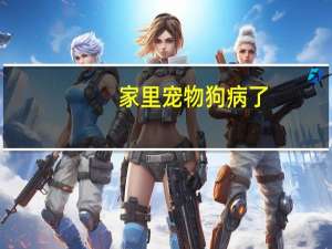 家里宠物狗病了