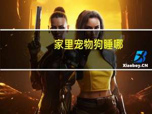 家里宠物狗睡哪