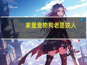 家里宠物狗老是咬人