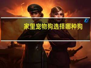 家里宠物狗选择哪种狗