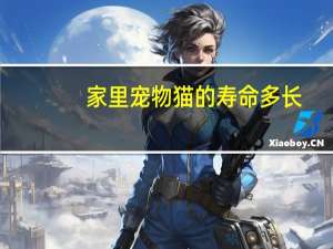 家里宠物猫的寿命多长