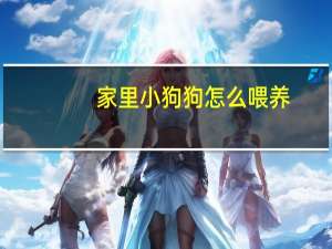 家里小狗狗怎么喂养