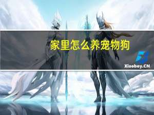 家里怎么养宠物狗