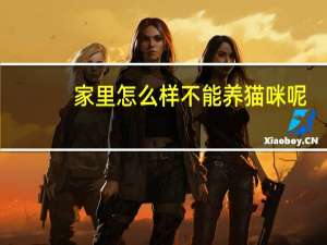 家里怎么样不能养猫咪呢