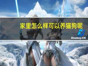 家里怎么样可以养猫狗呢