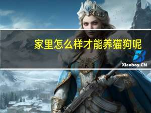 家里怎么样才能养猫狗呢