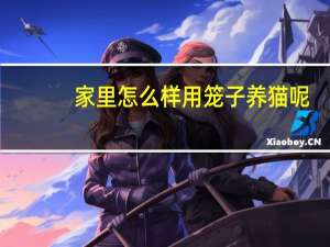 家里怎么样用笼子养猫呢