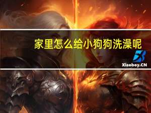 家里怎么给小狗狗洗澡呢