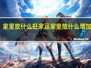 家里放什么旺家运 家里放什么增加运气