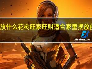 家里放什么花树旺家旺财 适合家里摆放的招财植物