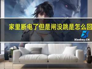 家里断电了但是闸没跳是怎么回事