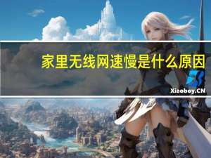 家里无线网速慢是什么原因（网速慢是什么原因）