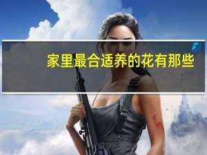 家里最合适养的花有那些