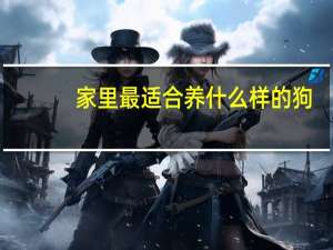 家里最适合养什么样的狗
