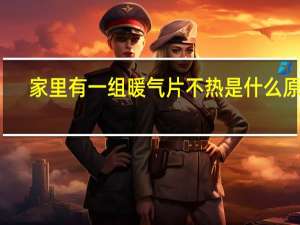 家里有一组暖气片不热是什么原因