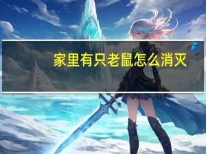 家里有只老鼠怎么消灭（家里有老鼠怎么消灭）