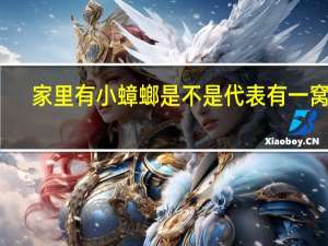 家里有小蟑螂是不是代表有一窝了