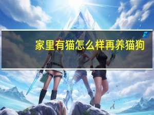 家里有猫怎么样再养猫狗