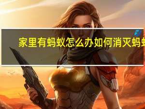 家里有蚂蚁怎么办 如何消灭蚂蚁（家里有蚂蚁怎么办）