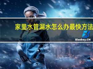 家里水管漏水怎么办最快方法