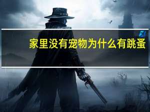 家里没有宠物为什么有跳蚤