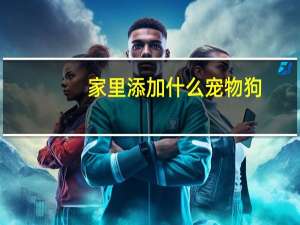 家里添加什么宠物狗