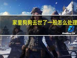 家里狗狗去世了一般怎么处理