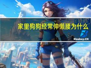 家里狗狗经常伸懒腰为什么