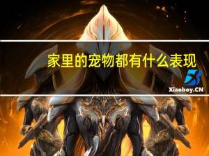家里的宠物都有什么表现