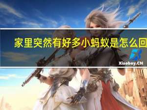 家里突然有好多小蚂蚁是怎么回事