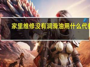 家里维修没有润滑油用什么代替