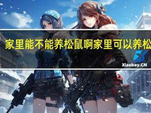 家里能不能养松鼠啊 家里可以养松鼠吗
