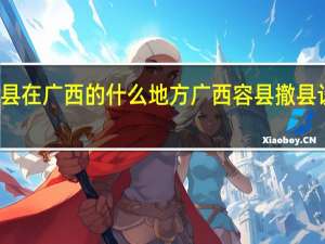 容县在广西的什么地方 广西容县撤县设市成功