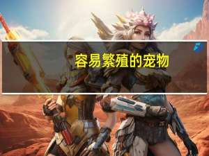 容易繁殖的宠物