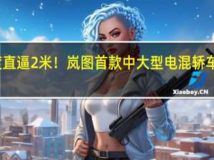 宽度直逼2米！岚图首款中大型电混轿车正式官宣