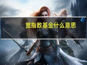 宽指数基金什么意思